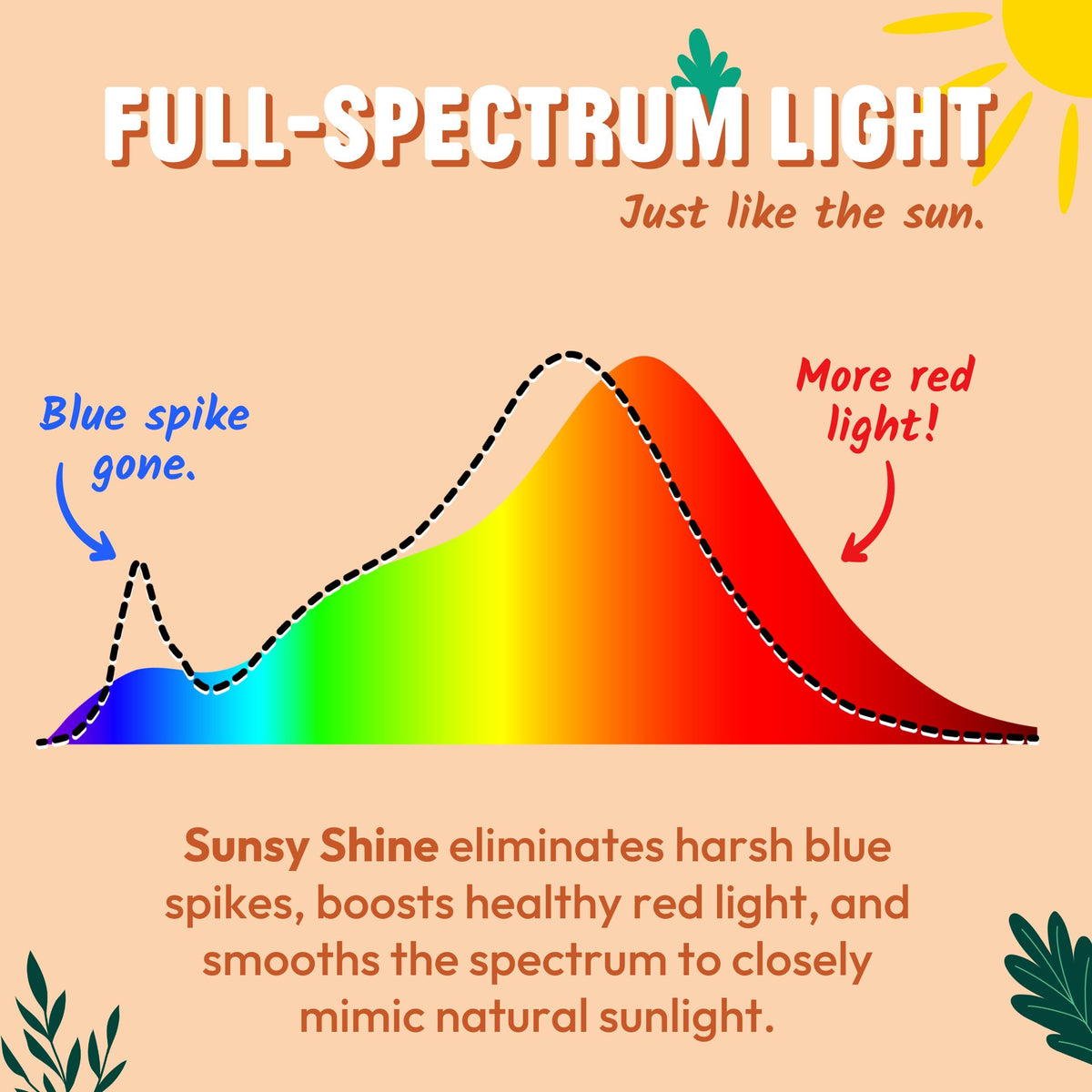Sunsy Shine - Full-Spectrum Flicker-Free A19 Bulb for Energy, Mood & Circadian Rhythm
