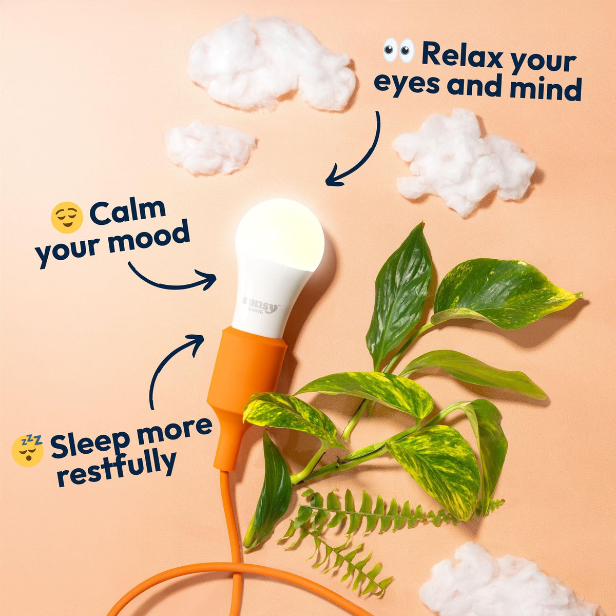 Sunsy Shine - Full-Spectrum Flicker-Free A19 Bulb for Energy, Mood & Circadian Rhythm