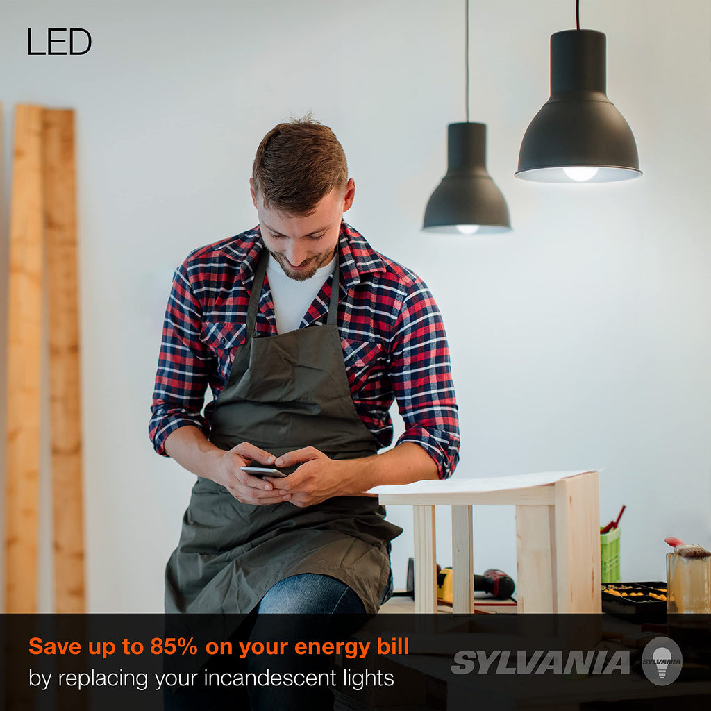 Sylvania LED A19 Light Bulb 12W, 1100 Lumens, Daylight 5000K, Frosted Finish, 4 Pack (78100) | LEDVANCE